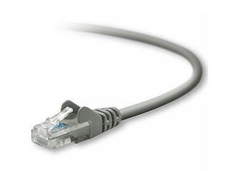 Belkin International Inc Patch Cable - Rj-45 (m) - Rj-45 (m) - 100 Ft - ( Cat 5e )