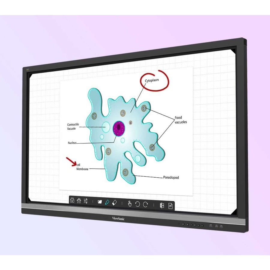 ViewSonic ViewBoard IFP6550-E1 - 4K Interactive Display with WiFi Adapter and Fixed Wall Mount - 350 cd/m2 - 65"