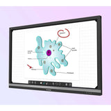 ViewSonic ViewBoard IFP6550-E1 - 4K Interactive Display with WiFi Adapter and Fixed Wall Mount - 350 cd/m2 - 65"