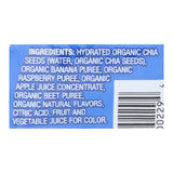Mamma Chia Wild Raspberry Organic Vitality Snack - Case Of 16 - 3.5 Oz.