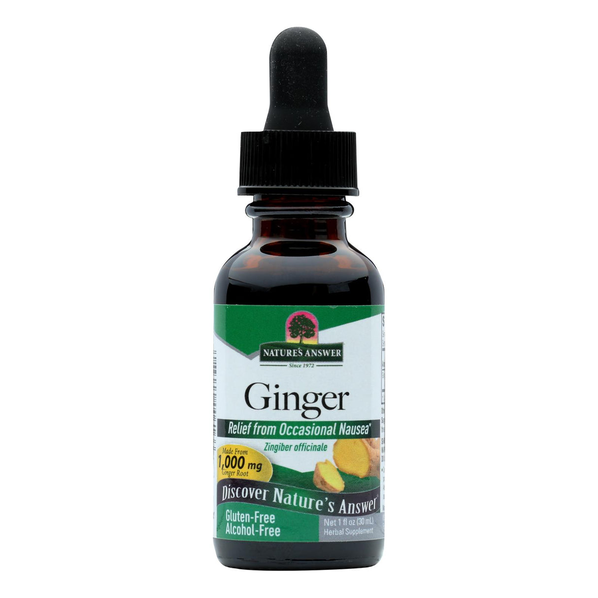 Nature's Answer - Ginger Root Alcohol Free - 1 Fl Oz