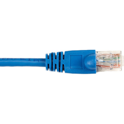 Black Box CAT6 Value Line Patch Cable, Stranded, Blue, 7-ft. (2.1-m)