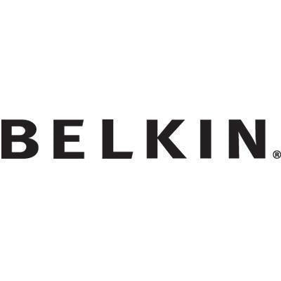 Belkin International Inc Belkin Cables F2cd005b Displayport To Dvi Adapt Dp-m/dvi-f